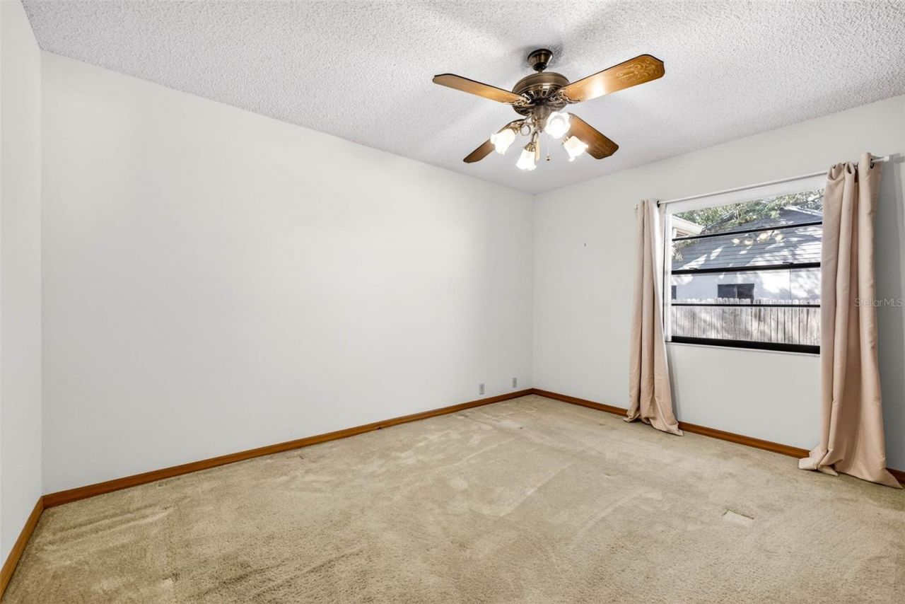 6418 Jacqueline Arbor Drive, Temple Terrace, FL 33617 Photo