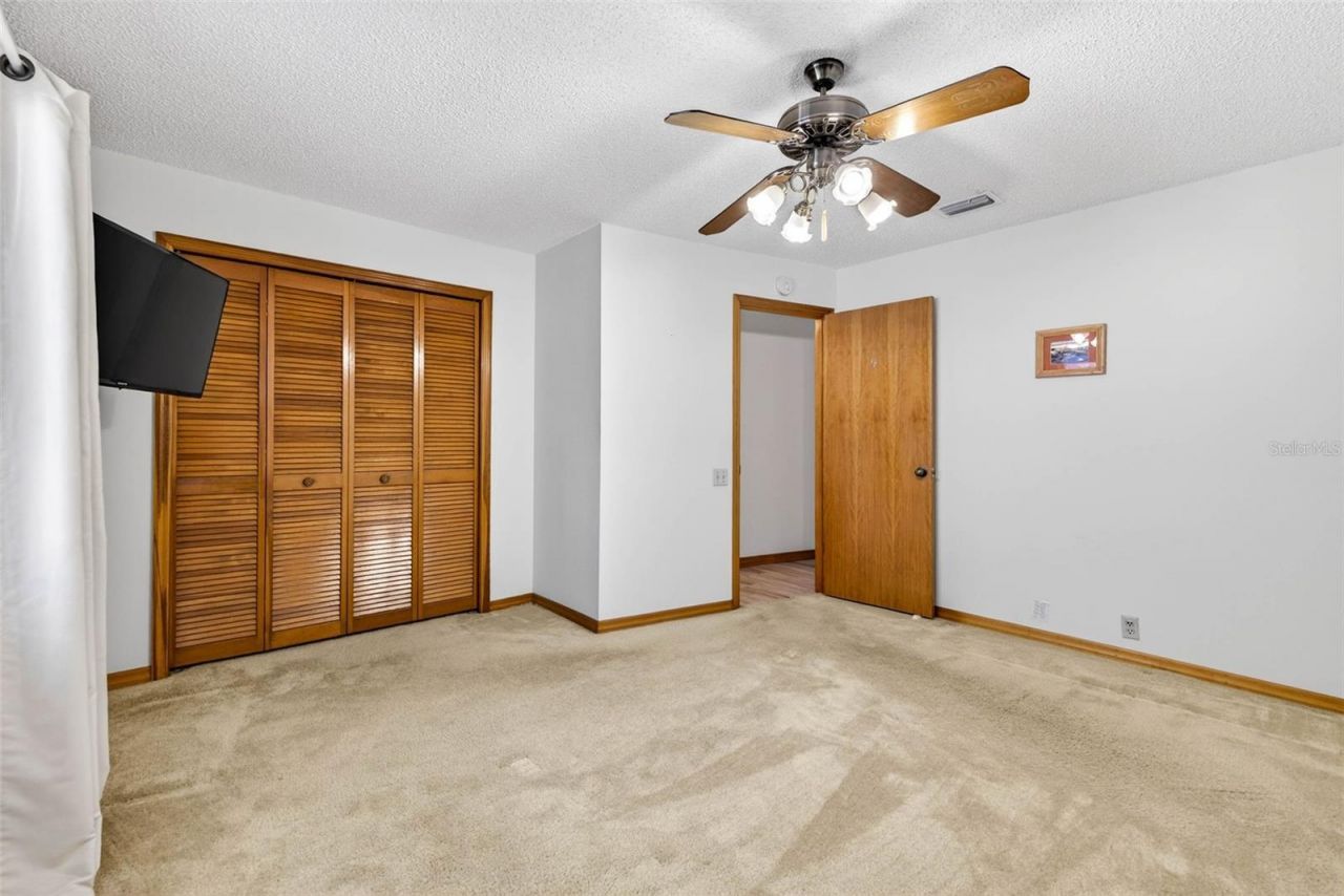 6418 Jacqueline Arbor Drive, Temple Terrace, FL 33617 Photo