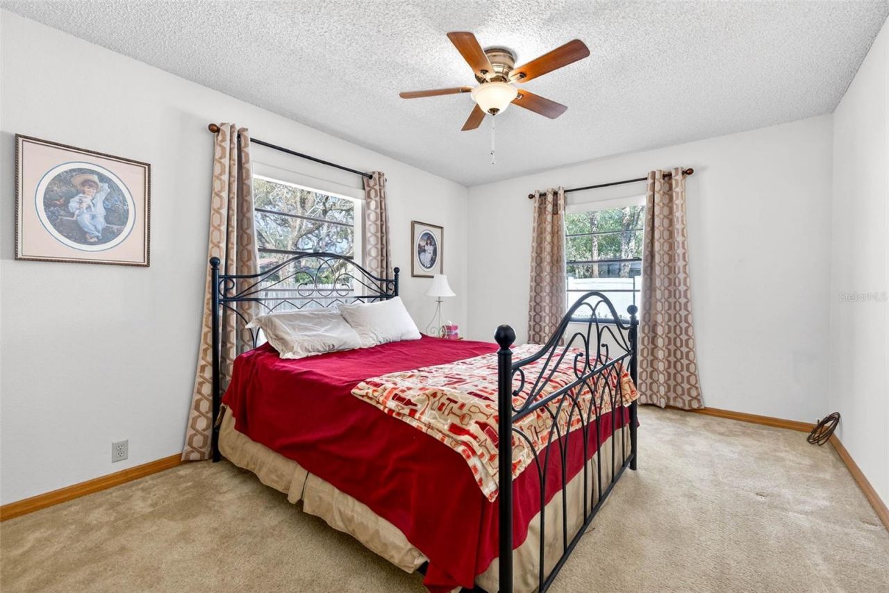 6418 Jacqueline Arbor Drive, Temple Terrace, FL 33617 Photo