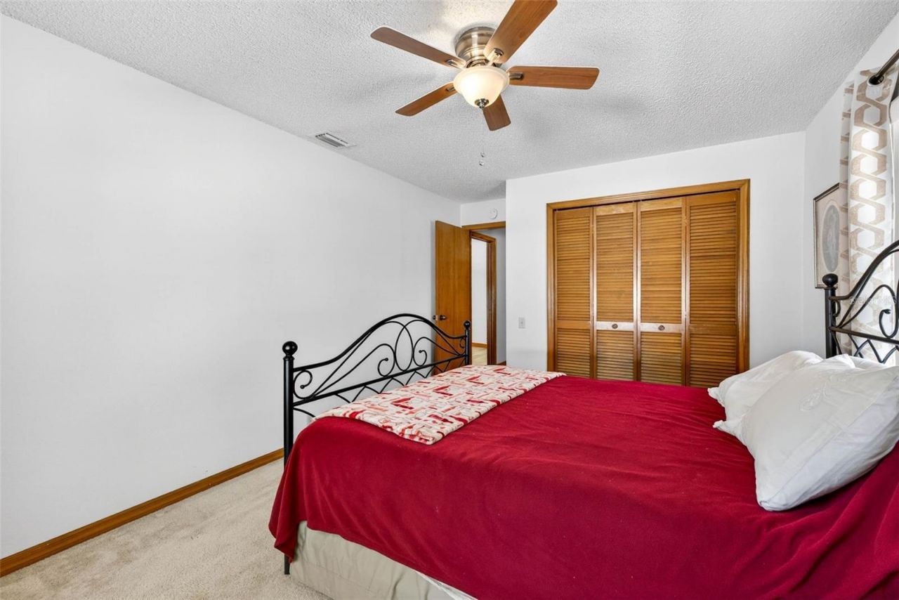 6418 Jacqueline Arbor Drive, Temple Terrace, FL 33617 Photo