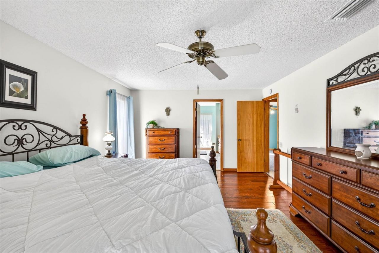 6418 Jacqueline Arbor Drive, Temple Terrace, FL 33617 Photo