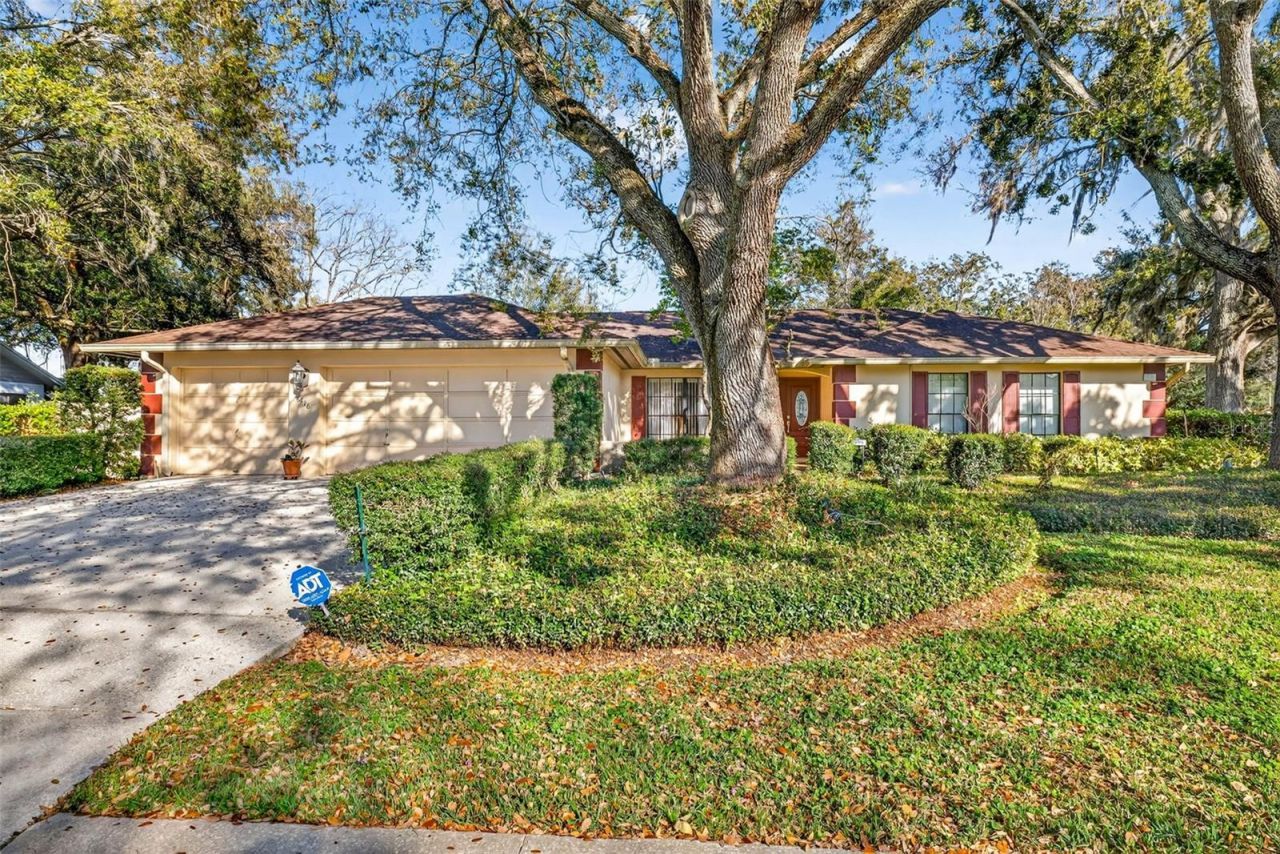 6418 Jacqueline Arbor Drive, Temple Terrace, FL 33617 Photo