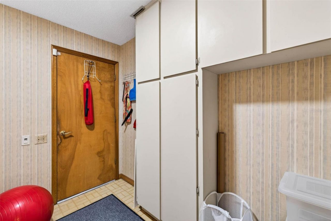 6418 Jacqueline Arbor Drive, Temple Terrace, FL 33617 Photo