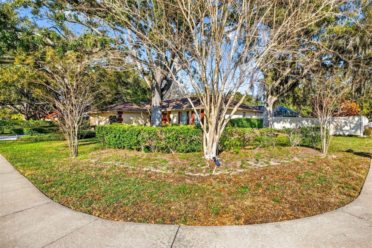 6418 Jacqueline Arbor Drive, Temple Terrace, FL 33617 Photo