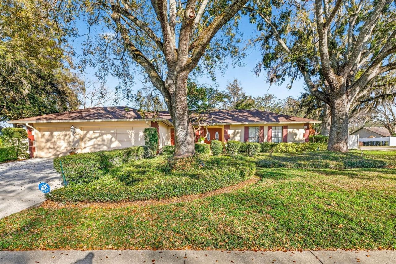 6418 Jacqueline Arbor Drive, Temple Terrace, FL 33617 Photo