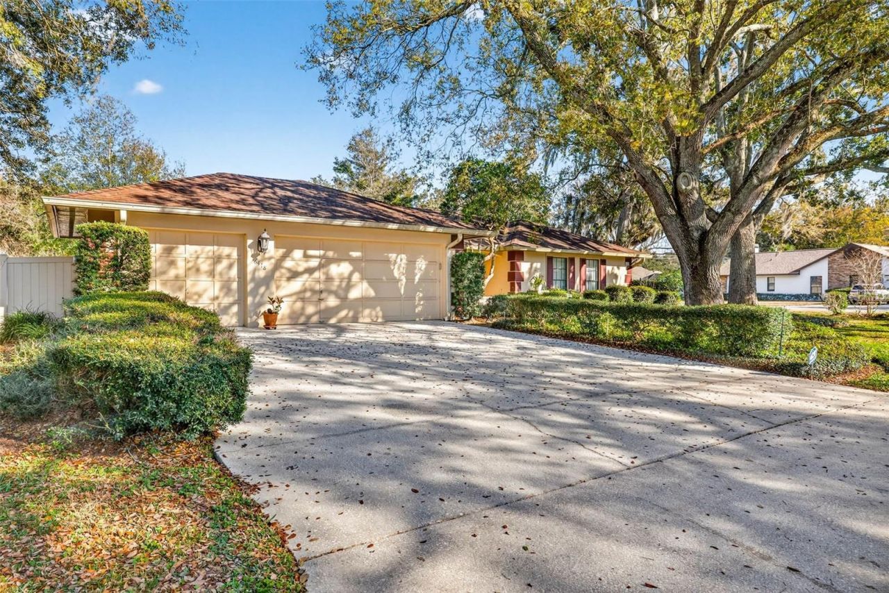 6418 Jacqueline Arbor Drive, Temple Terrace, FL 33617 Photo