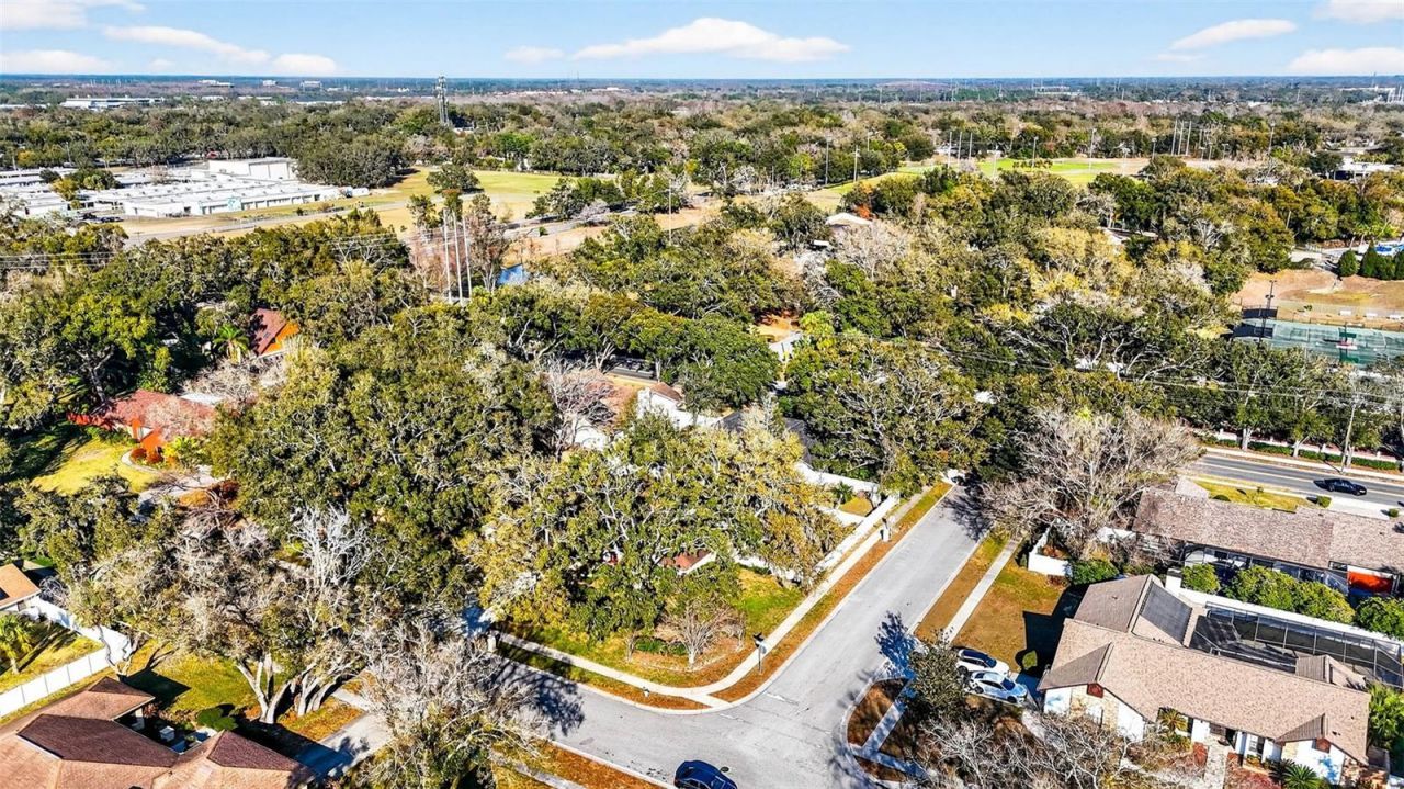 6418 Jacqueline Arbor Drive, Temple Terrace, FL 33617 Photo