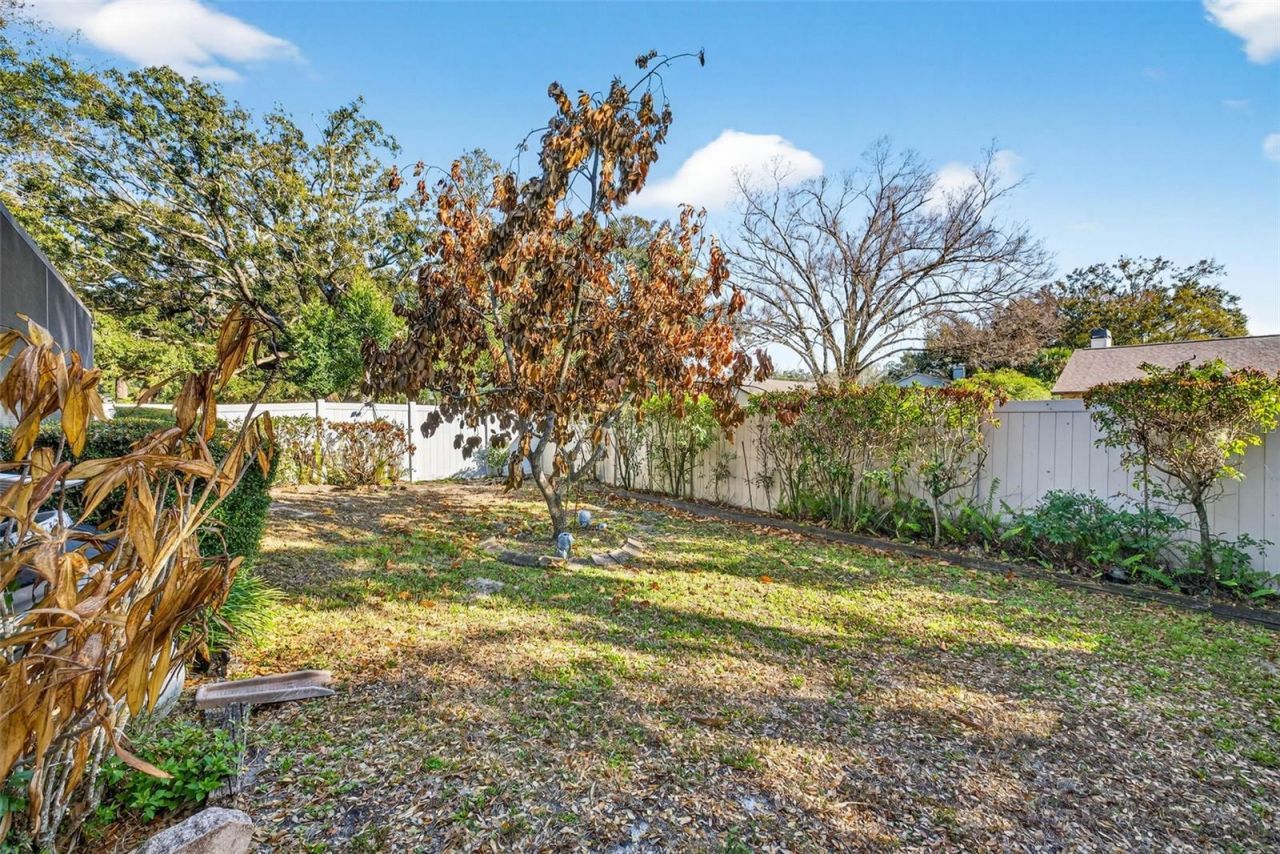 6418 Jacqueline Arbor Drive, Temple Terrace, FL 33617 Photo