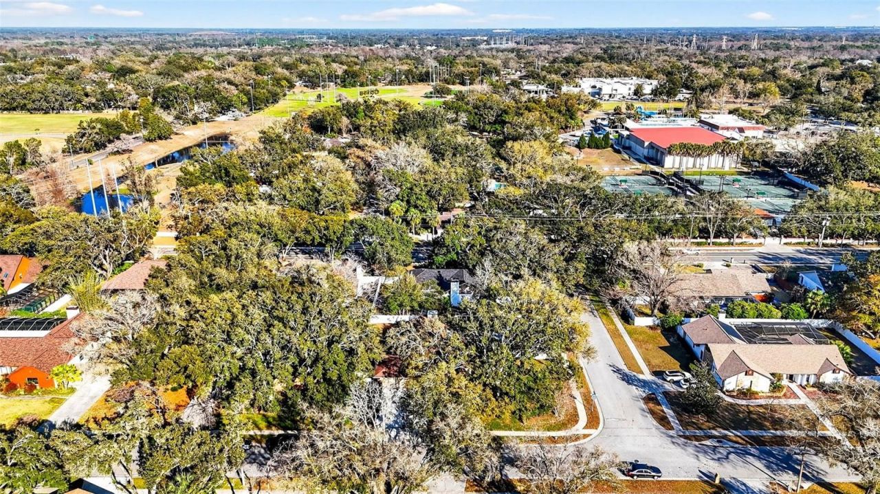 6418 Jacqueline Arbor Drive, Temple Terrace, FL 33617 Photo