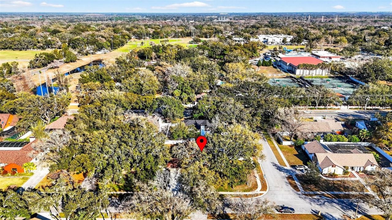 6418 Jacqueline Arbor Drive, Temple Terrace, FL 33617 Photo