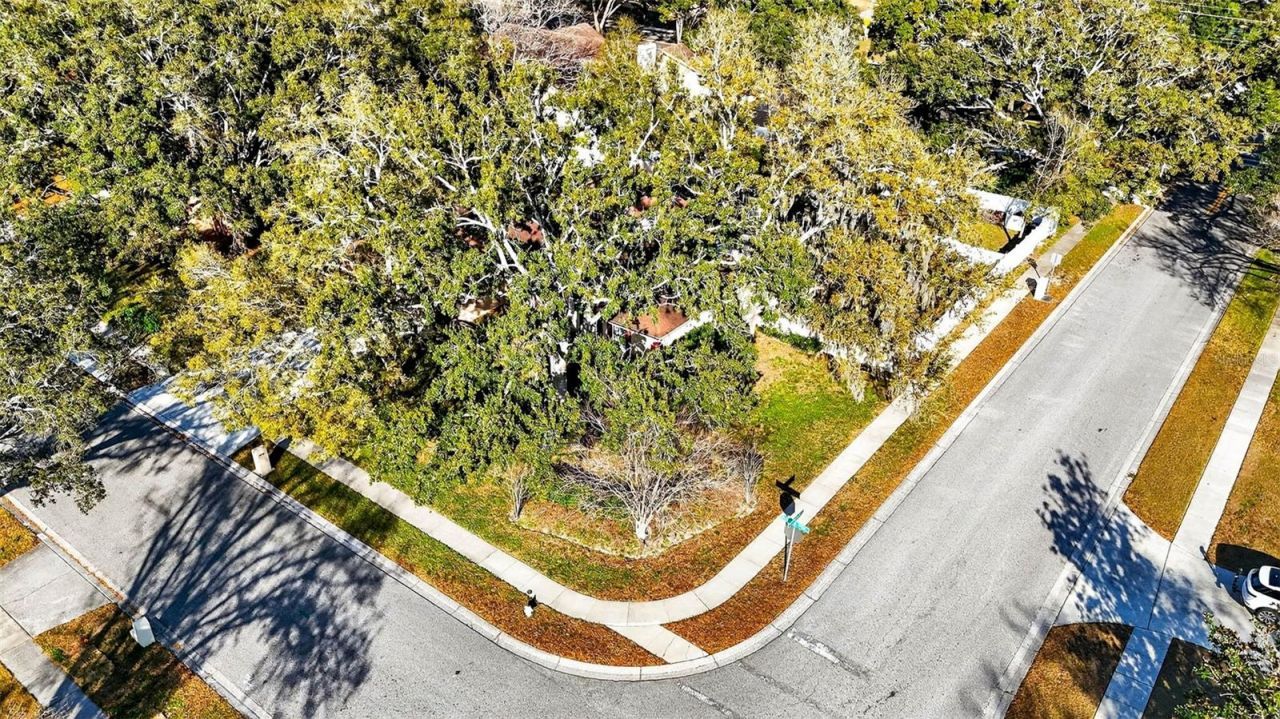 6418 Jacqueline Arbor Drive, Temple Terrace, FL 33617 Photo