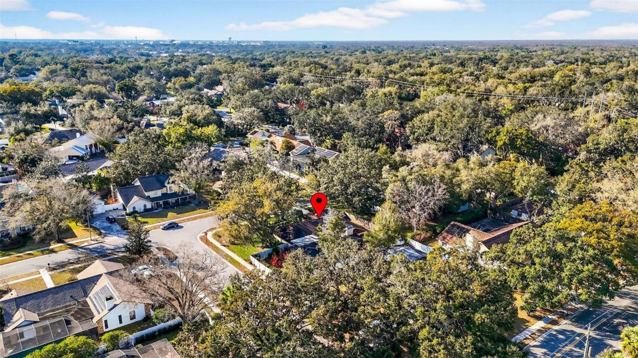 6418 Jacqueline Arbor Drive, Temple Terrace, FL 33617 Photo