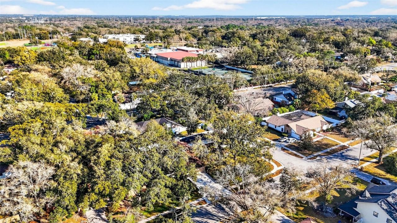 6418 Jacqueline Arbor Drive, Temple Terrace, FL 33617 Photo