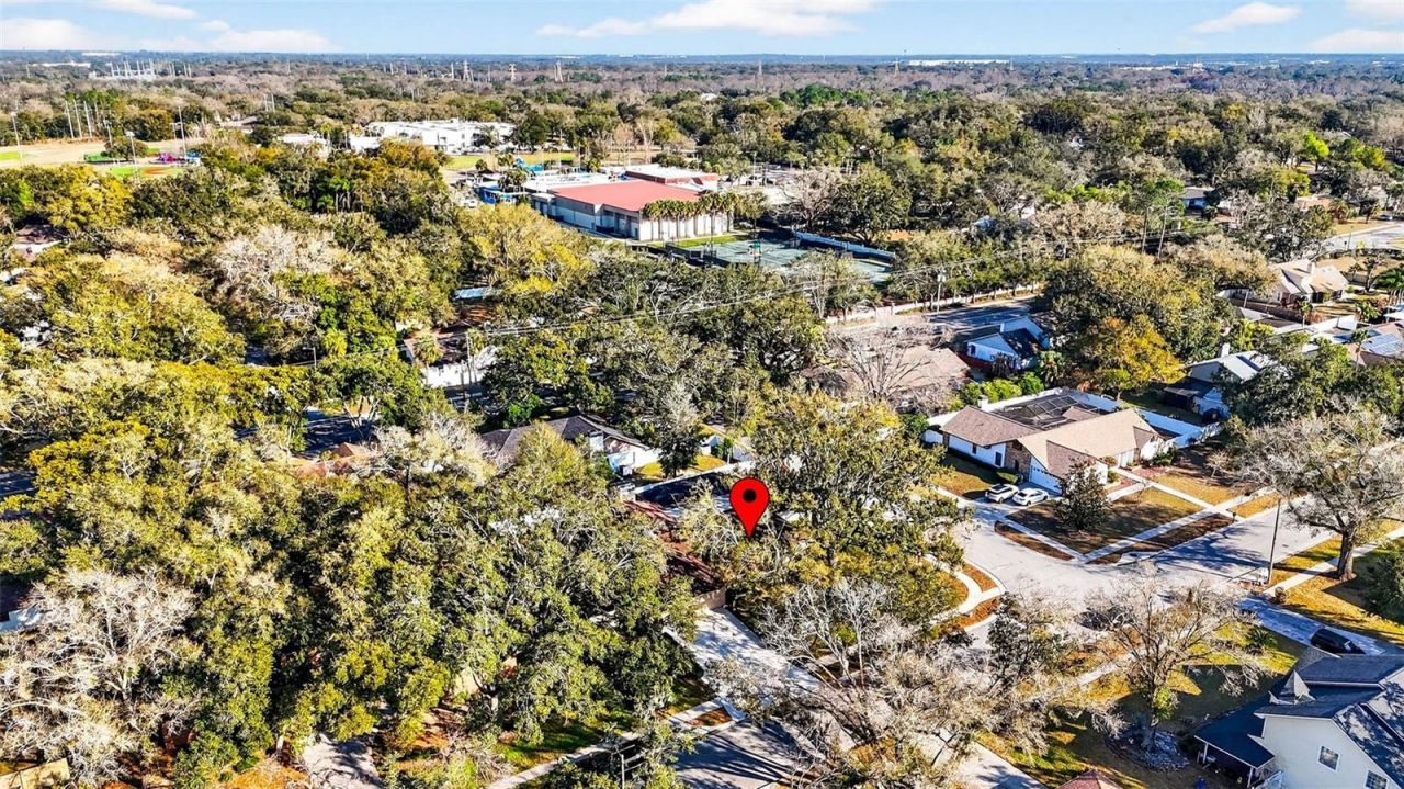 6418 Jacqueline Arbor Drive, Temple Terrace, FL 33617 Photo