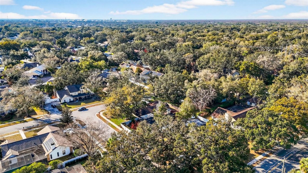 6418 Jacqueline Arbor Drive, Temple Terrace, FL 33617 Photo