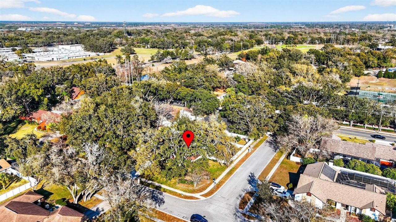 6418 Jacqueline Arbor Drive, Temple Terrace, FL 33617 Photo