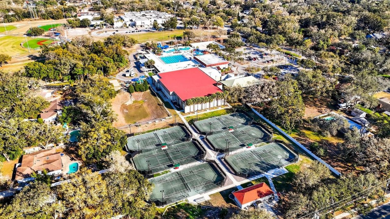 6418 Jacqueline Arbor Drive, Temple Terrace, FL 33617 Photo