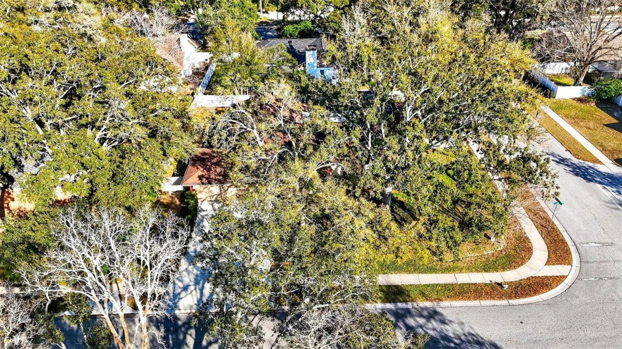 6418 Jacqueline Arbor Drive, Temple Terrace, FL 33617 Photo