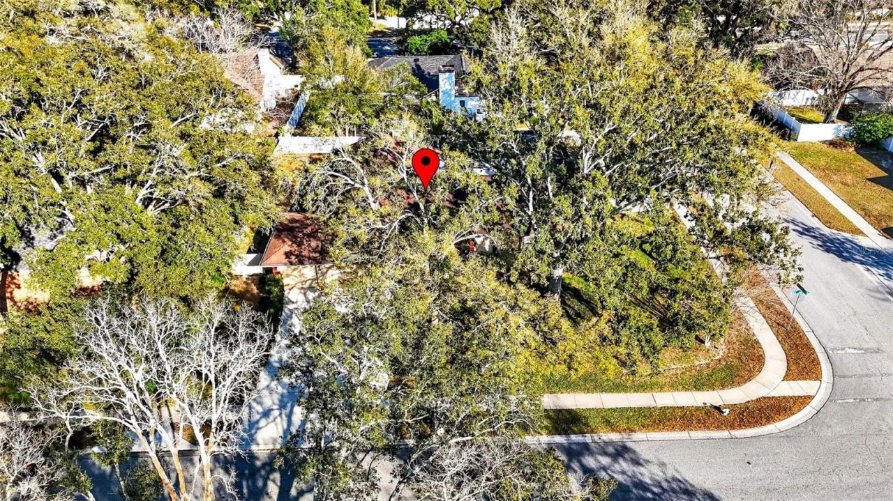 6418 Jacqueline Arbor Drive, Temple Terrace, FL 33617 Photo