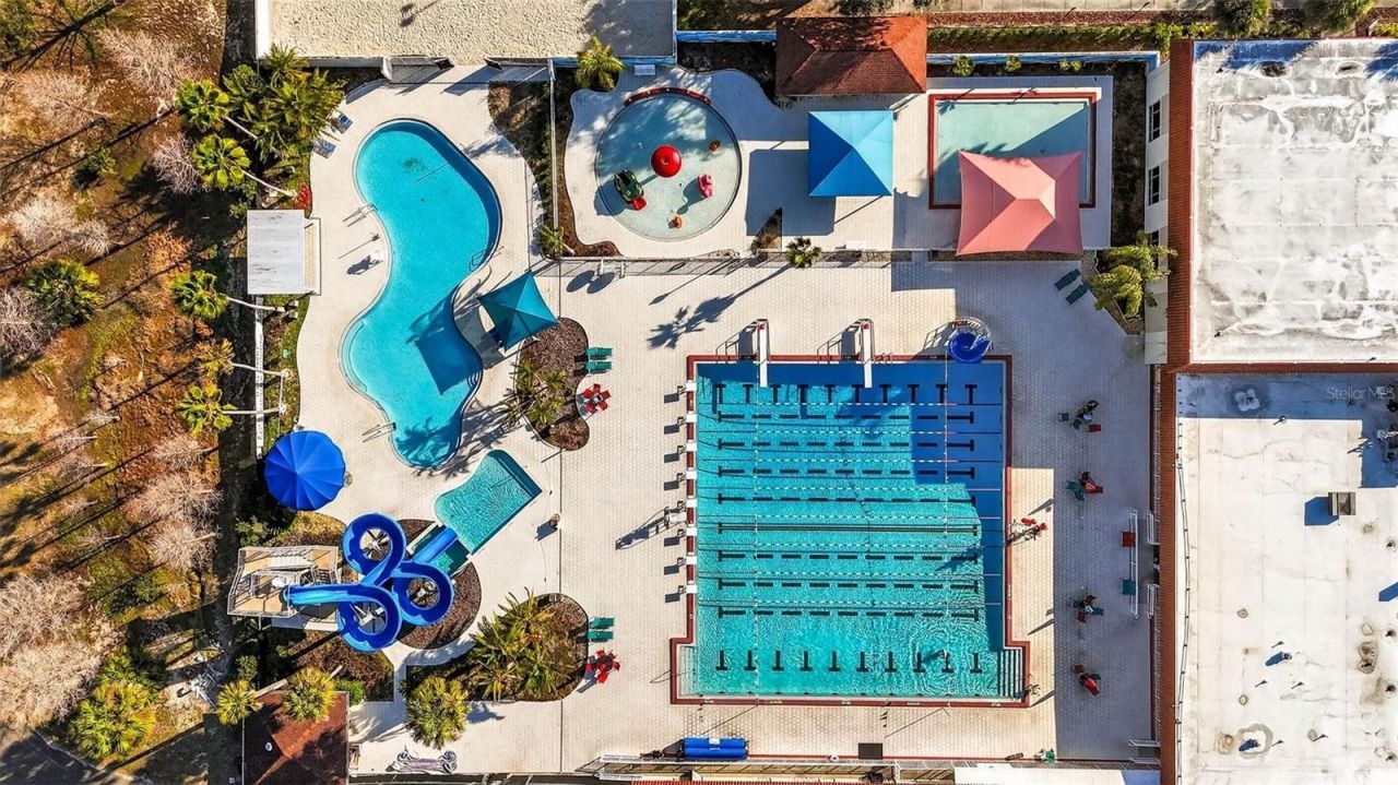 6418 Jacqueline Arbor Drive, Temple Terrace, FL 33617 Photo