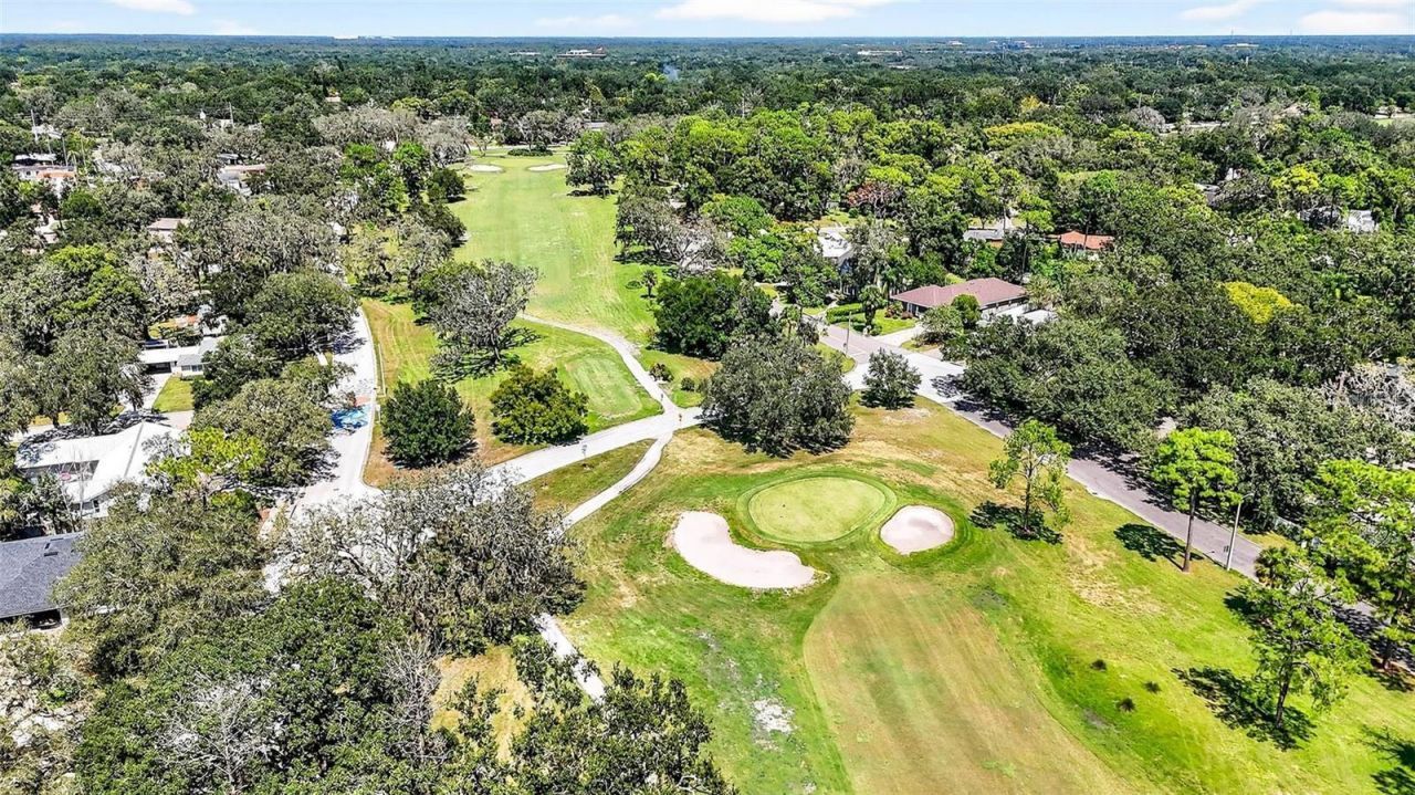 6418 Jacqueline Arbor Drive, Temple Terrace, FL 33617 Photo