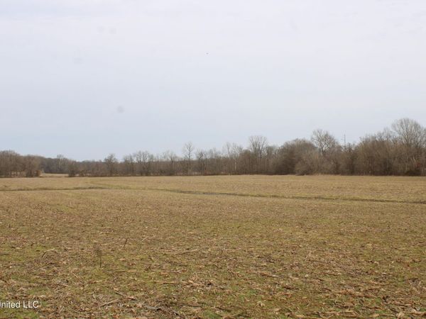 6000 Austin Road, Lake Cormorant, MS 38641