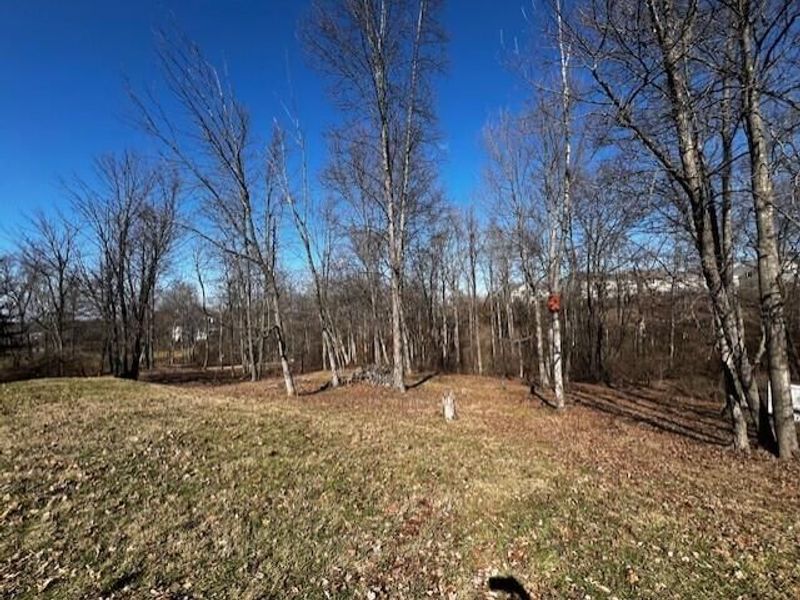 1150 Macintosh Lane, Florence, KY 41042 Photo 27