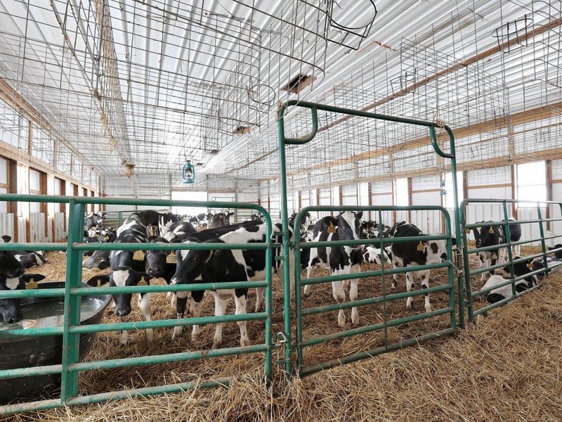 11109 Webb Summit Road SE, Bremen, OH 43107 Photo 32