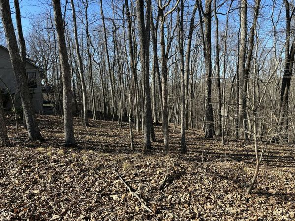 239 Amherst Lane , Crossville, TN 38558