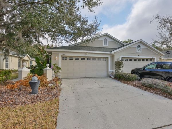 3502 CHAPEL CREEK CIRCLE, WESLEY CHAPEL, FL 33544