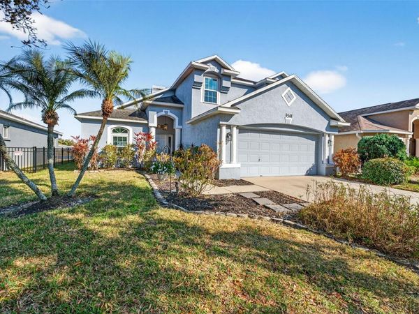 3544 OSPREY COVE DRIVE, RIVERVIEW, FL 33578