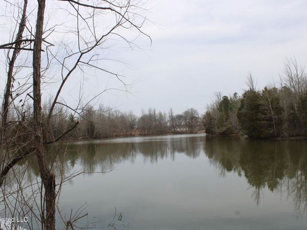 4325 Highway 301 , Lake Cormorant, MS 38641