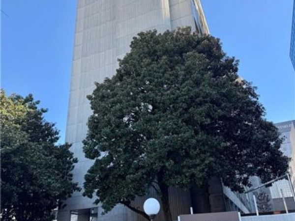 147 15th Street NE, Unit 15D, Atlanta, GA 30309