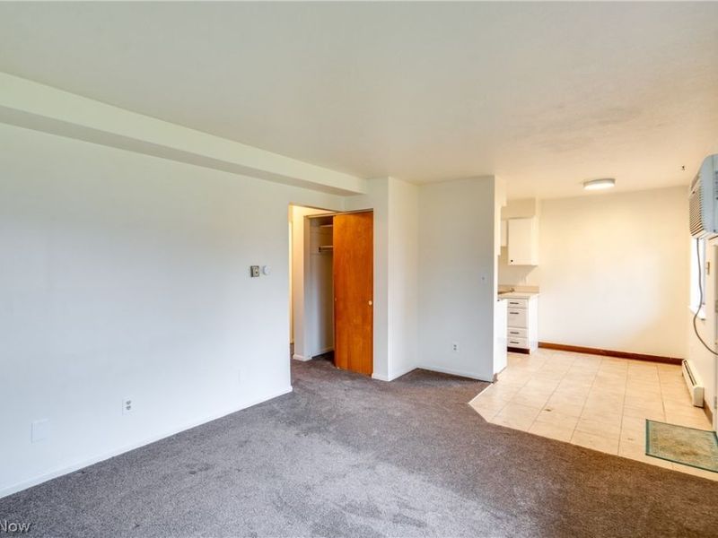 2615 Ellet Avenue, Akron, OH 44312 Photo 17