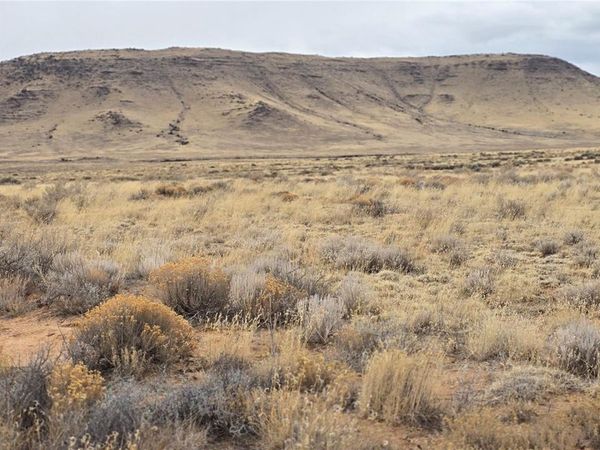 Lot 42 Jason Trail , San Luis, CO 81152