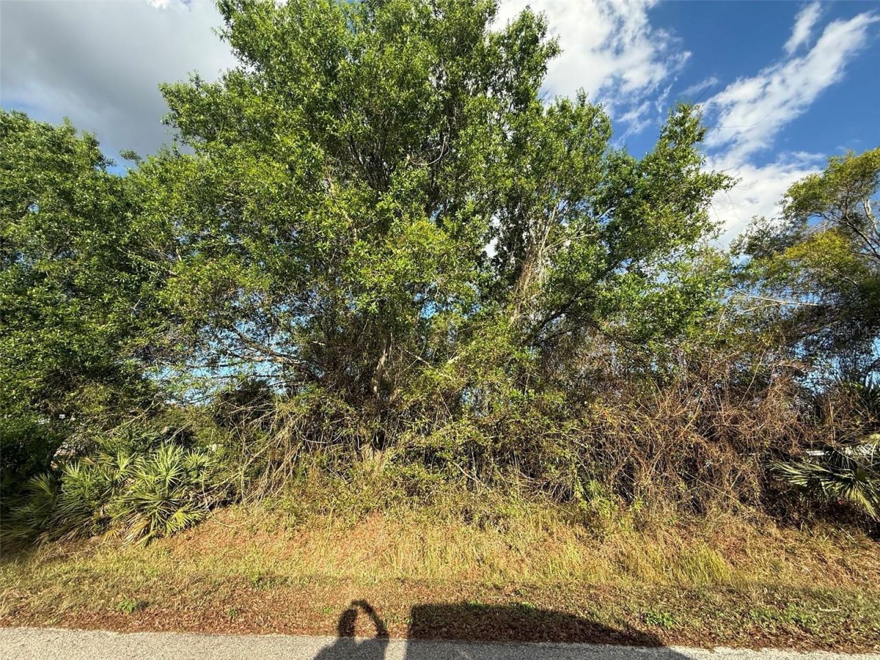 3382 NW 31st Avenue, Okeechobee, FL 34972 Main Photo