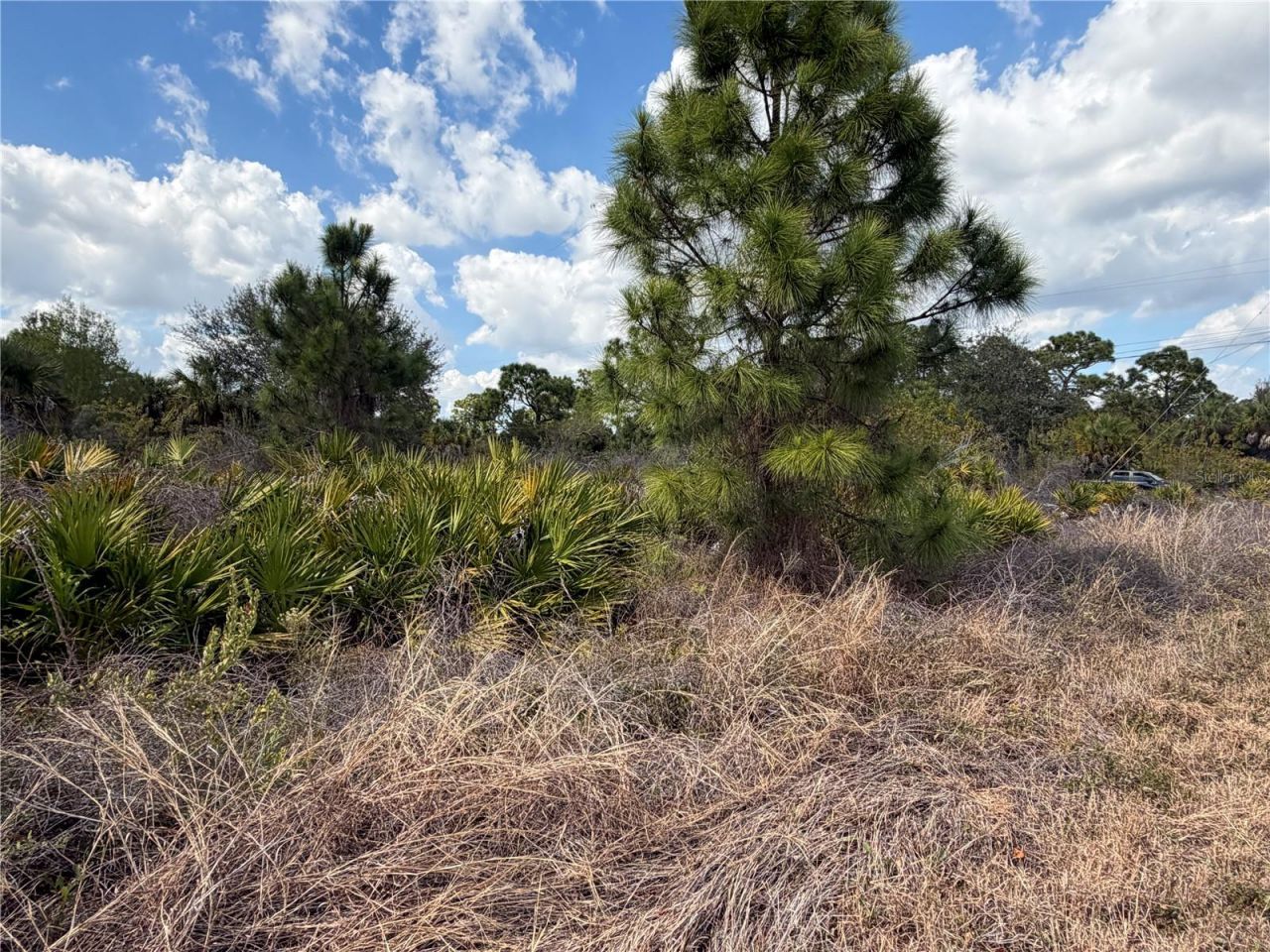 524 Columbus Boulevard S, Lehigh Acres, FL 33974 Photo