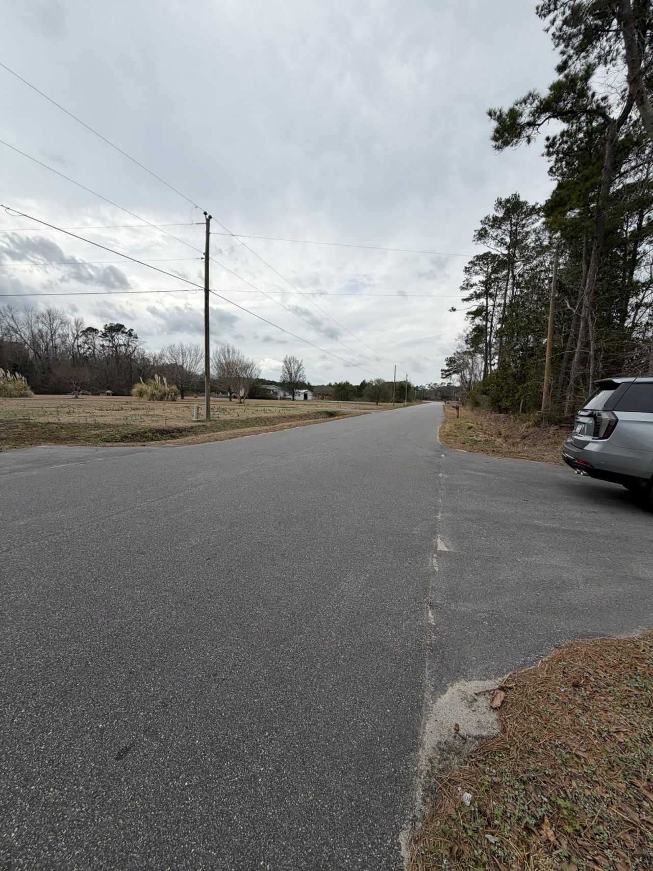 Tbd Neil Branch Rd.  Photo 5