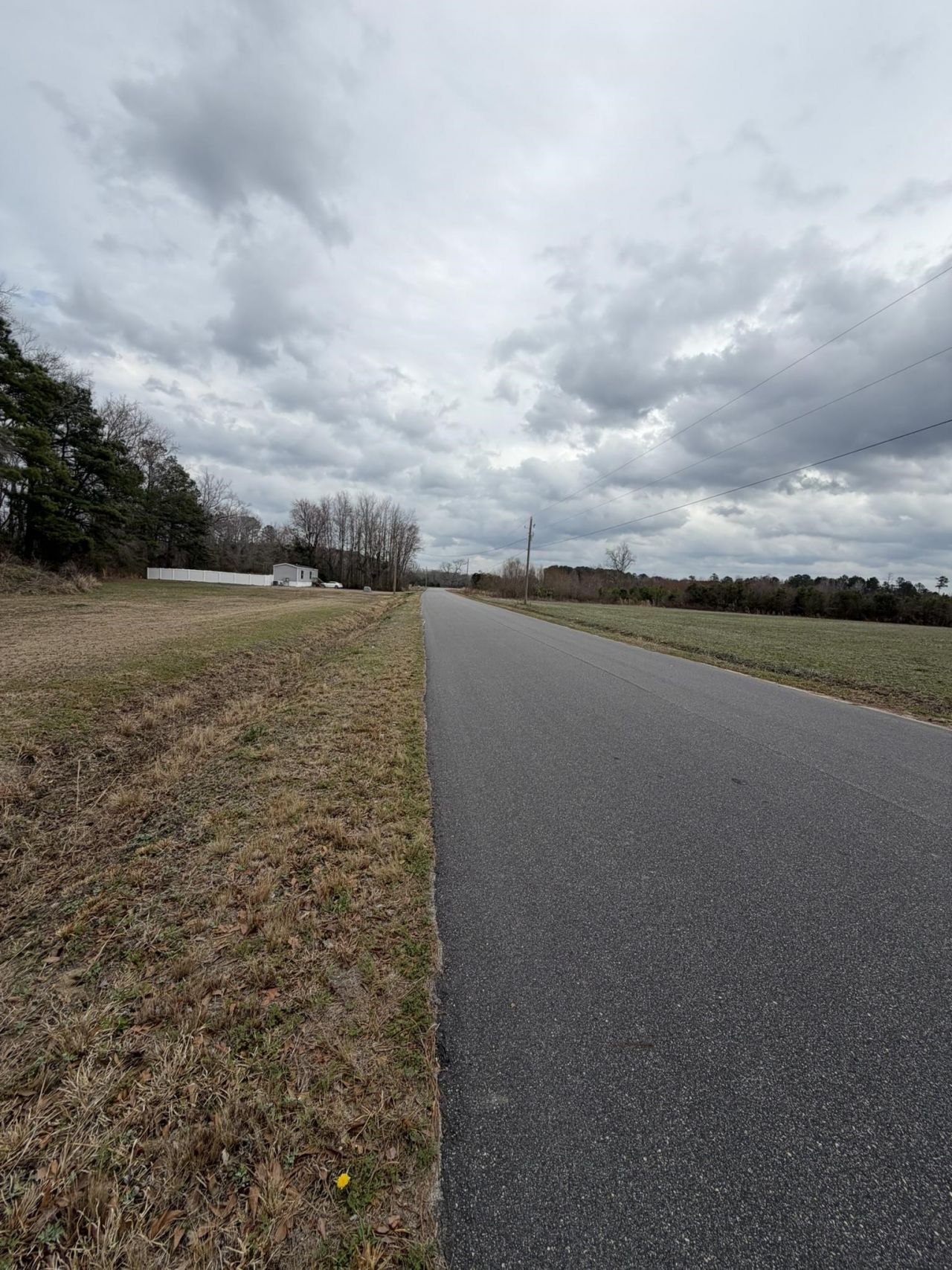 Tbd Neil Branch Rd.  Photo 6