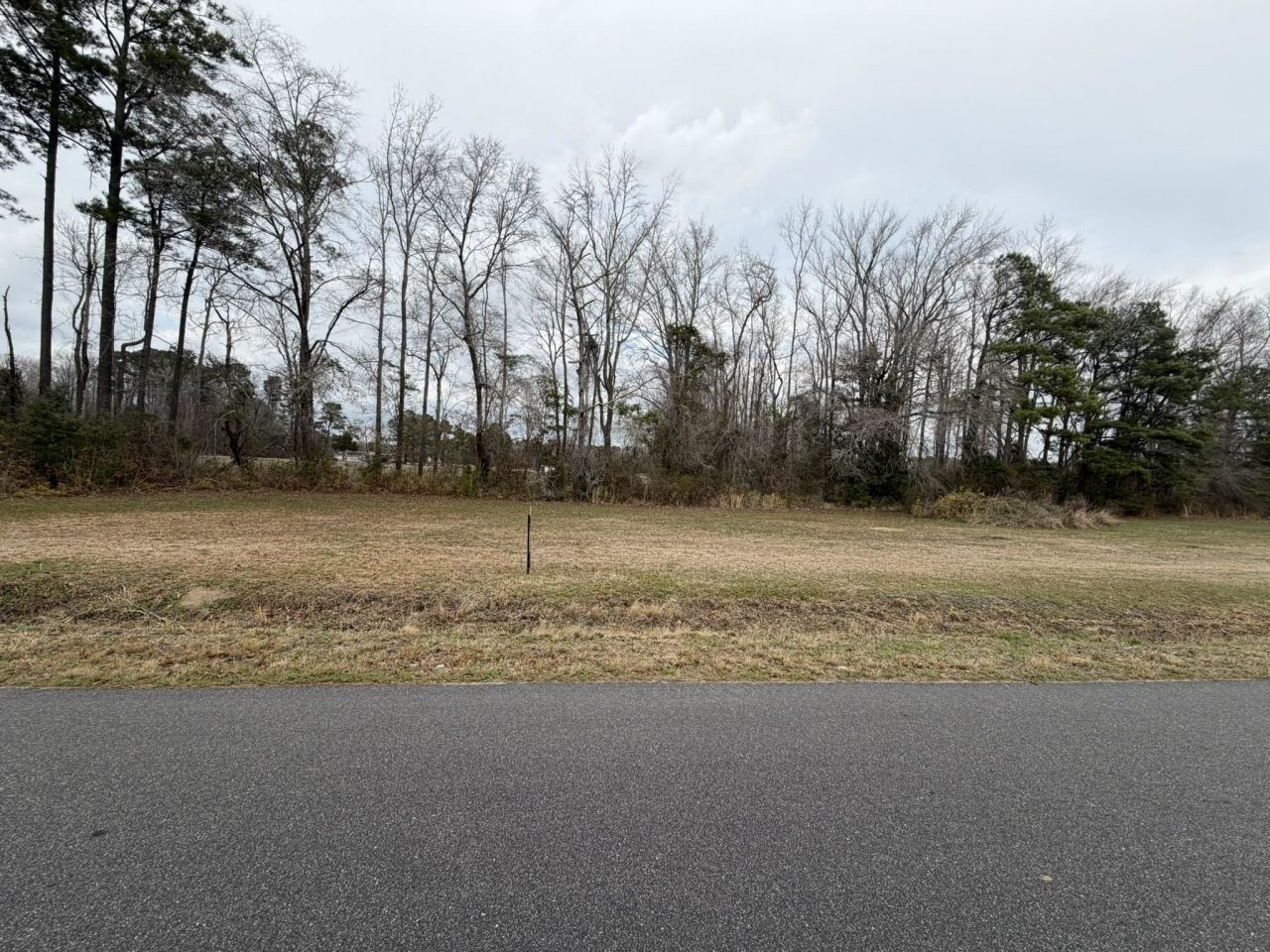 Tbd Neil Branch Rd.  Photo 7