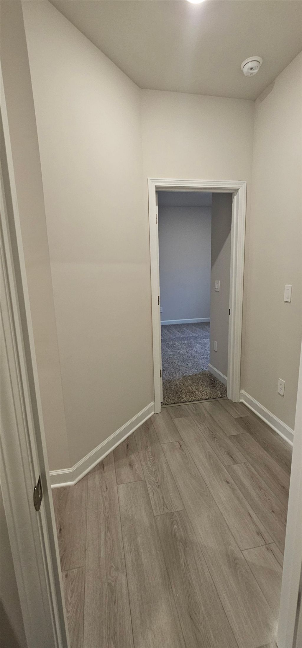 813 Cypress Preserve Circle  Photo 21