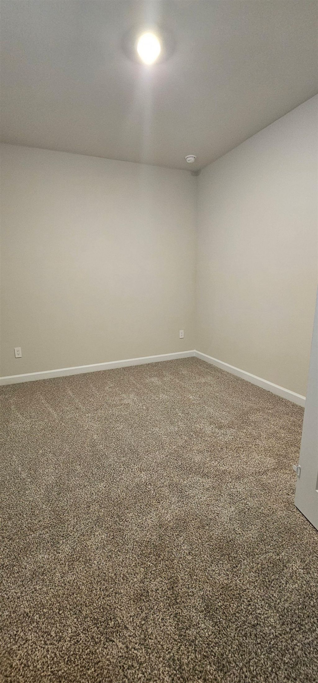 813 Cypress Preserve Circle  Photo 23