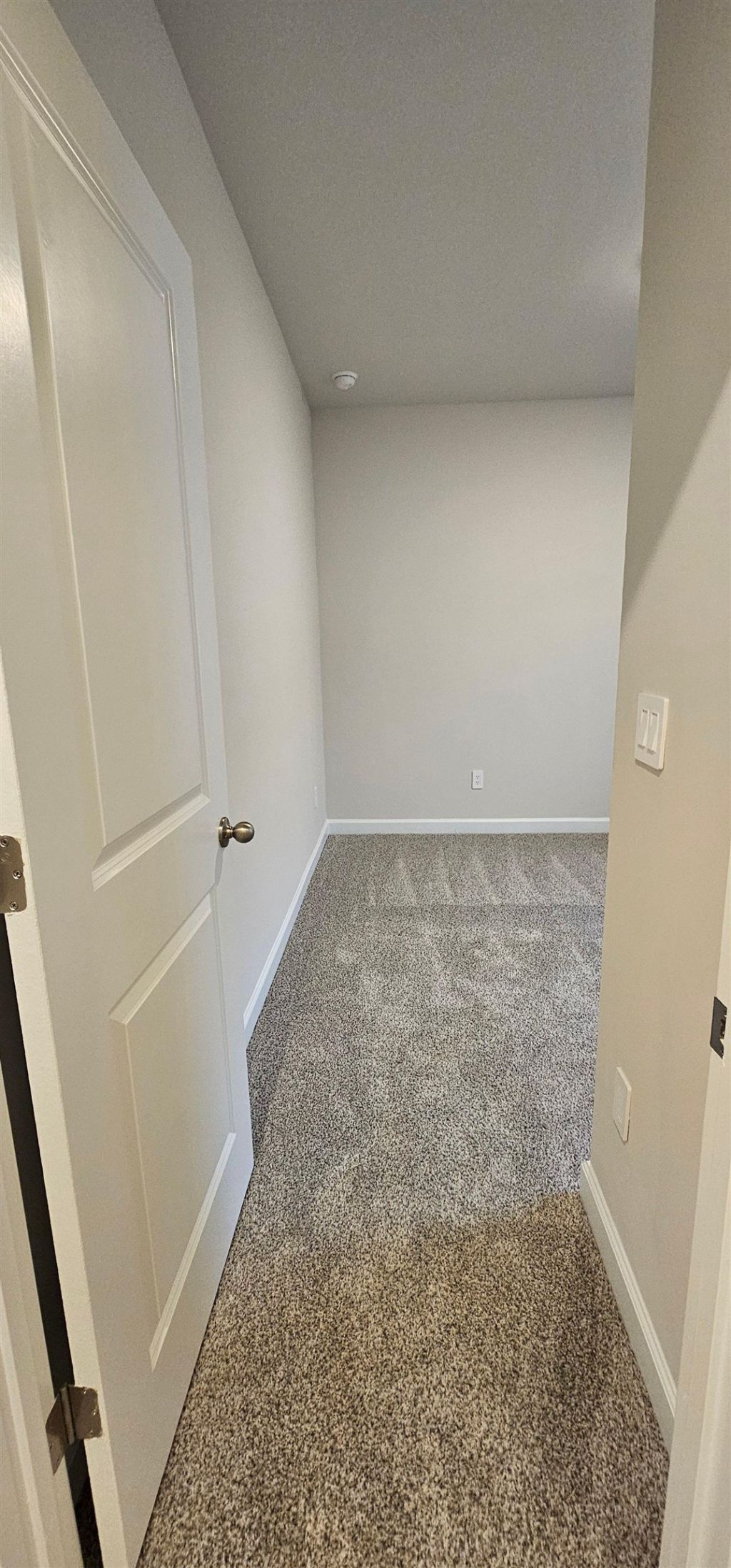 813 Cypress Preserve Circle  Photo 24