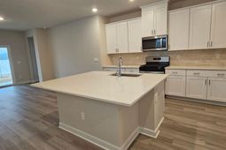 813 Cypress Preserve Circle  photo 4