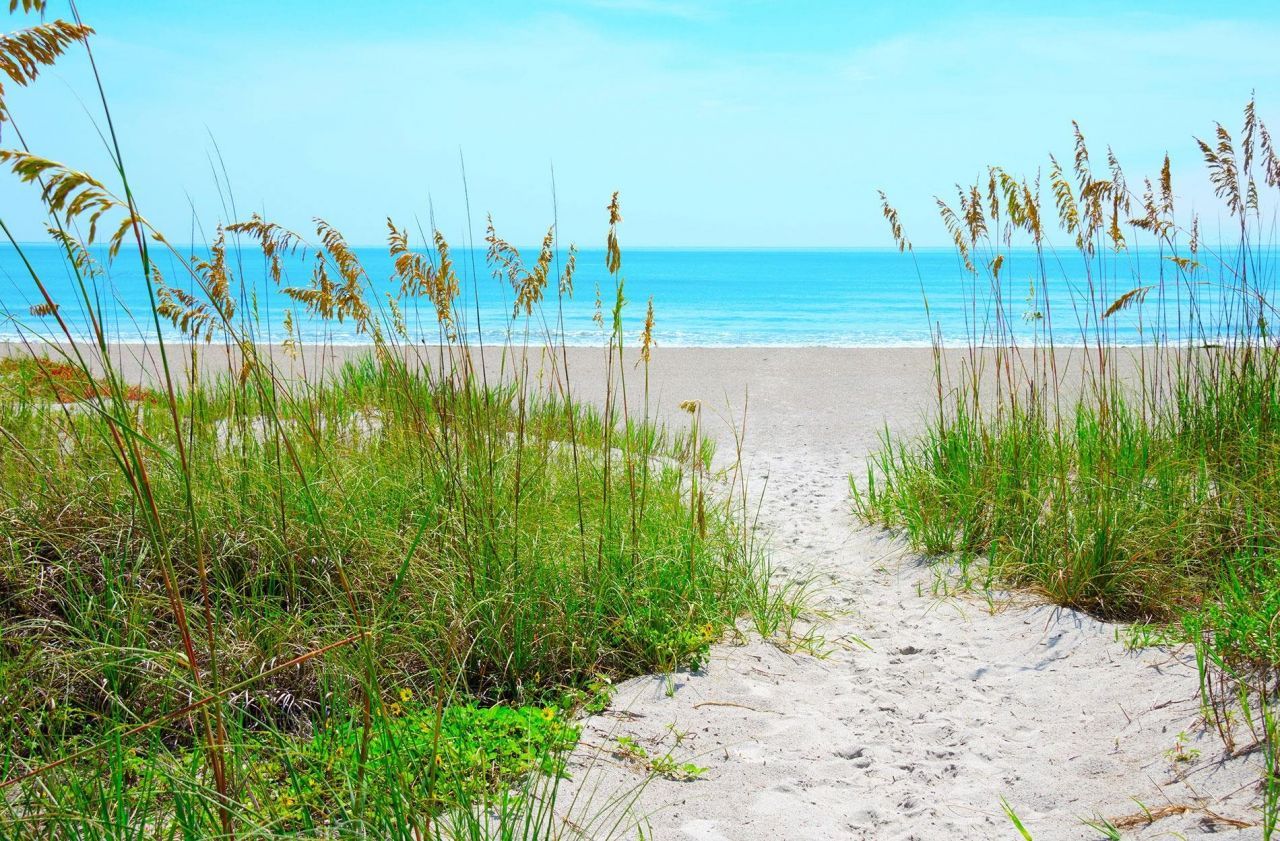 211 Londonshire Dr. Photo 26