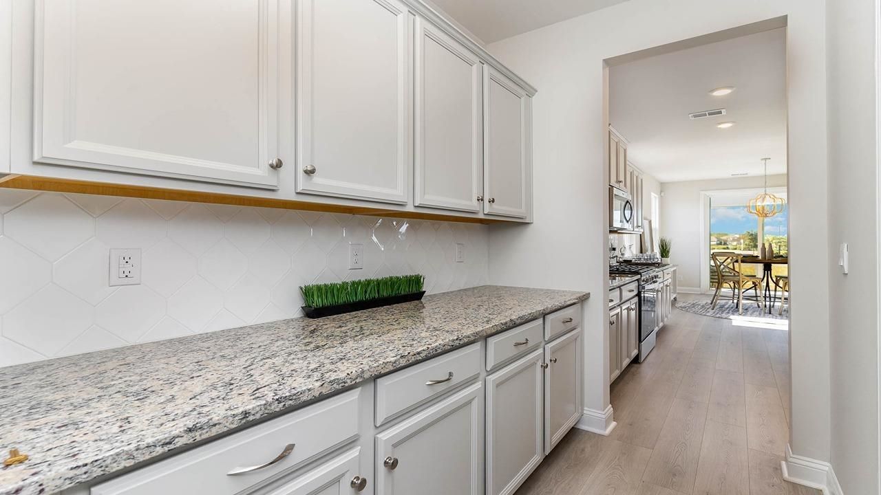 283 Bantry Ln.  Photo 9