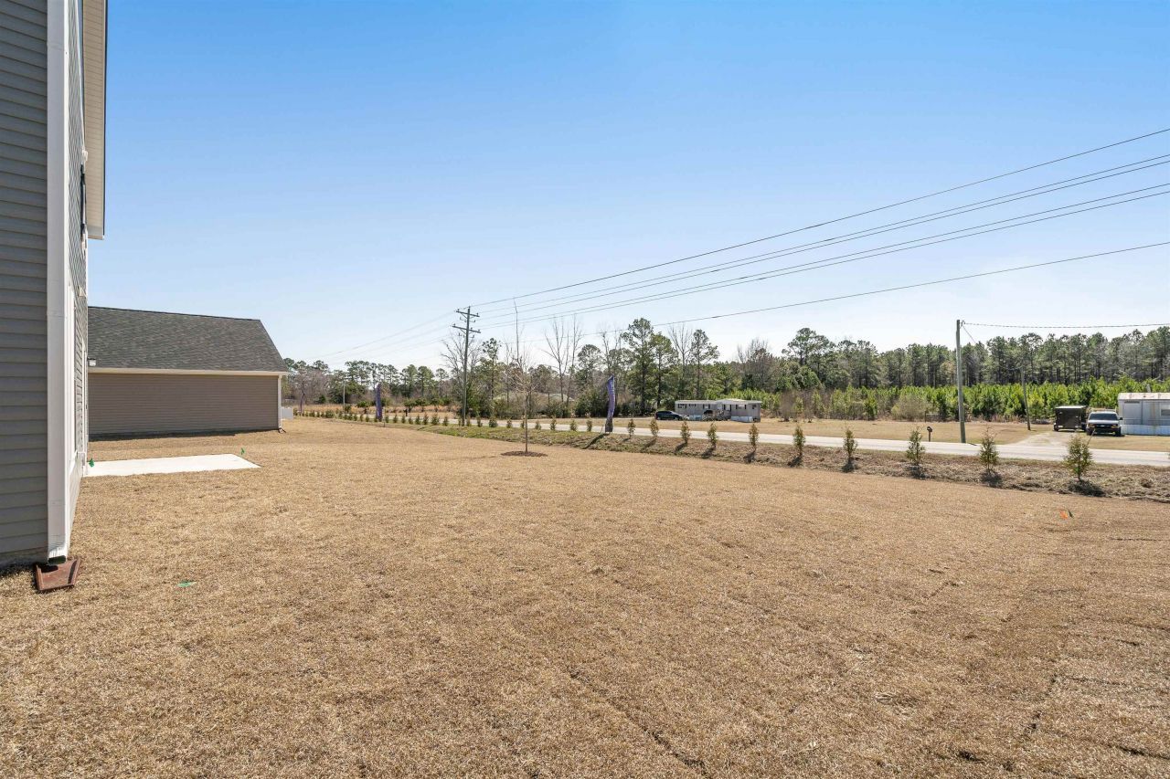 817 Rivas Way  Photo 40