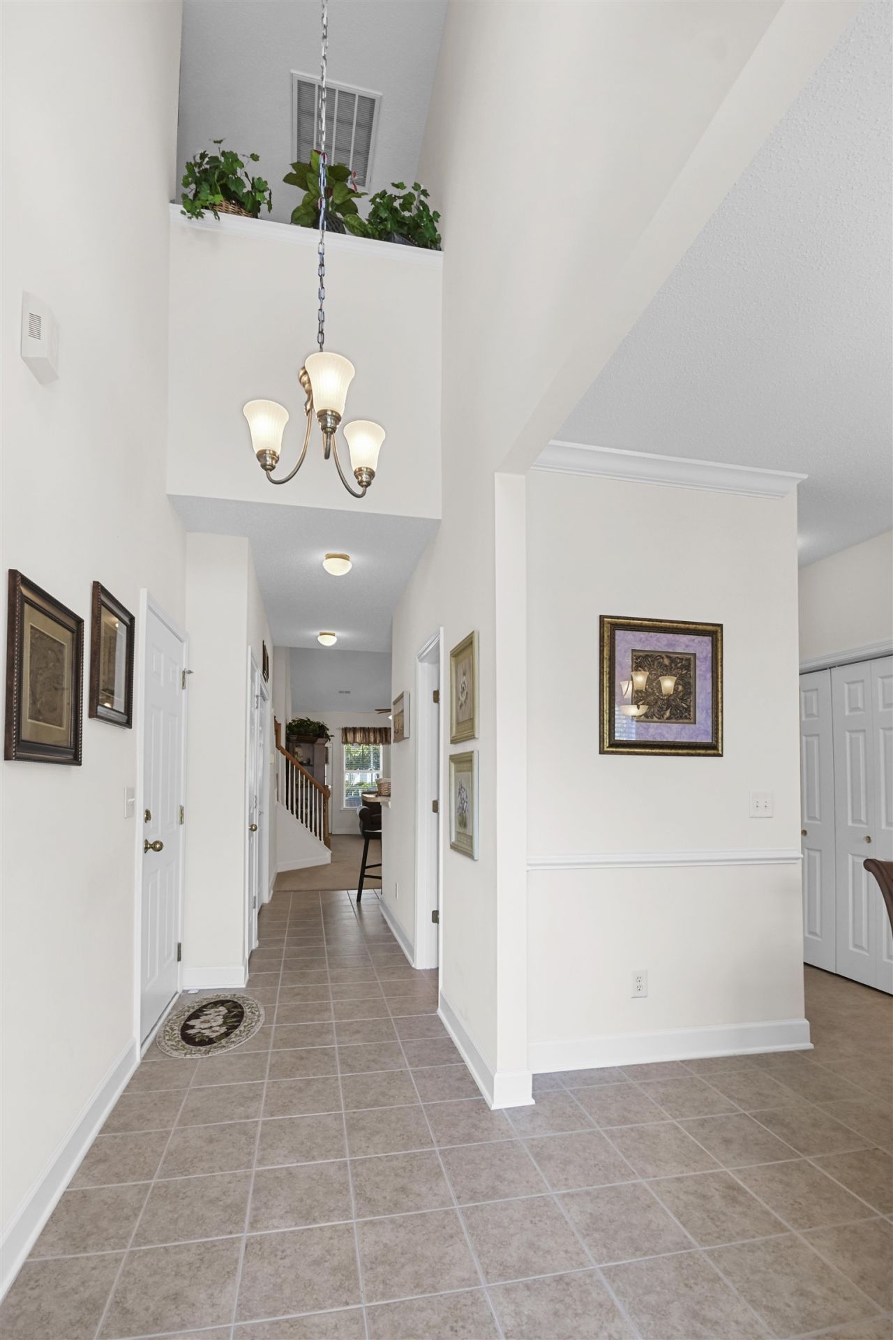 401 Branigan Ct.  Photo 6