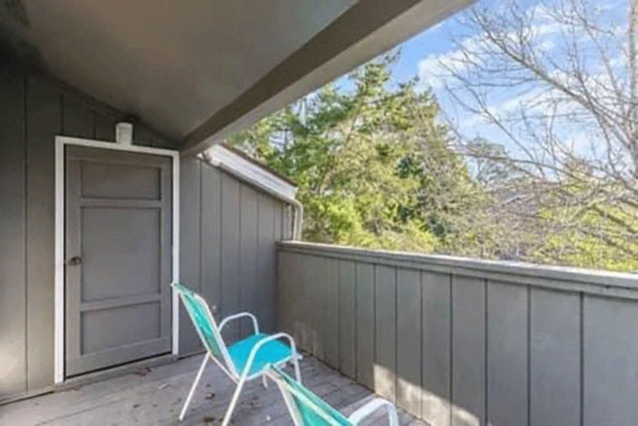 10301 N Kings Hwy.  Photo 13