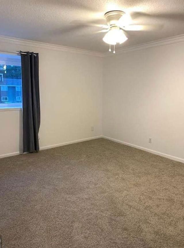 10301 N Kings Hwy.  Photo 6